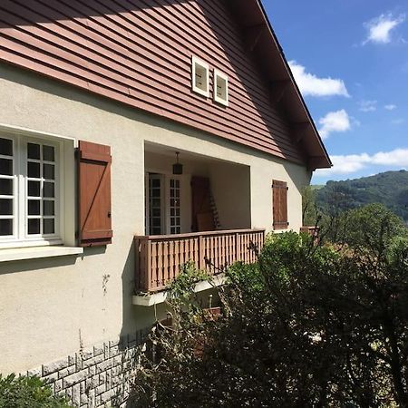 Grande Maison Confortable A Bagneres Εξωτερικό φωτογραφία