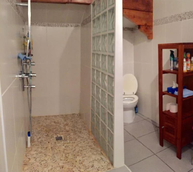 Grande Maison Confortable A Bagneres Εξωτερικό φωτογραφία
